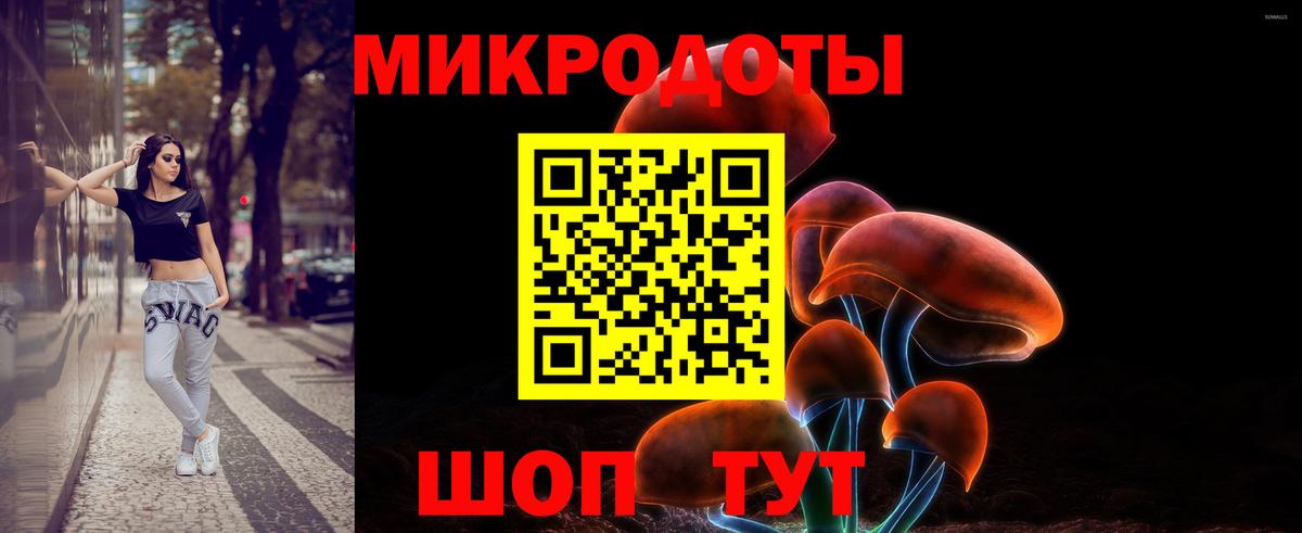 Псилоцибиновые грибы Psilocybine cubensis Серпухов
